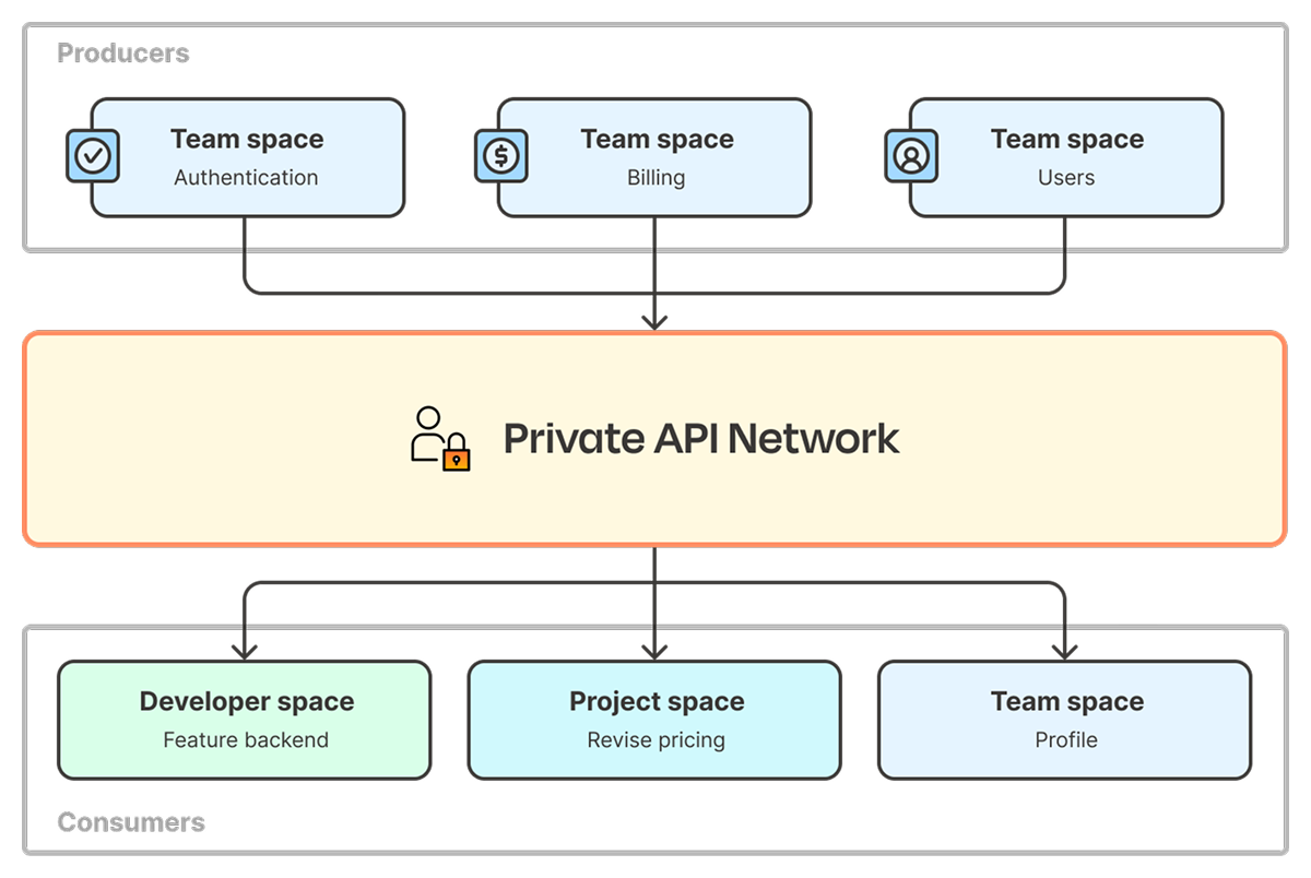 Screenshot of private API network in Postman. Illustration.
