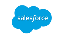 Salesforce Developers on the Postman API Network